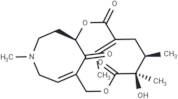 Neosenkirkine