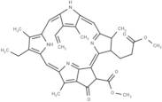 Methylpheophorbide A