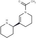 Isoammodendrine