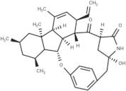 Pyrrocidine B