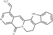 Angustine