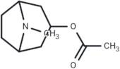 3-Acetoxytropane