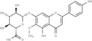 Hispidulin 7-glucuronide