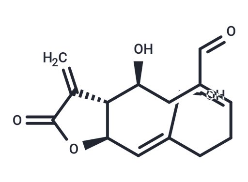 Urospermal