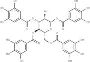 1,3,4,6-Tetragalloylglucose