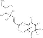 Antibiotic WB