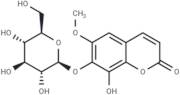 Isofraxoside