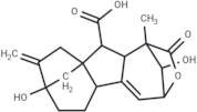 Isogibberellin A3