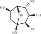 Calystegine C2