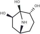 Calystegine A6