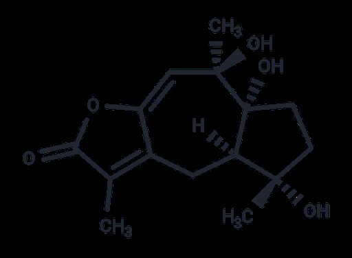 Zedoalactone B