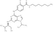 Protein kinase affinity probe 1