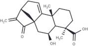 Pterisolic acid B