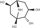 Calystegine B1