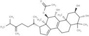 Integracide B