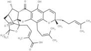 10α-Hydroxyepigambogic acid