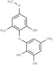 Antibiotic NK-A 17E-233I