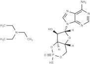 Rp-cAMPS triethylammonium salt