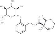 Salicortin