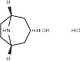 Nortropine Hydrochloride