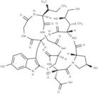 β-Amanitin