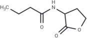 N-Butanoyl-DL-homoserine lactone