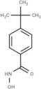 4-(tert-Butyl)-benzhydroxamic Acid