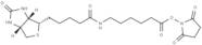 Biotin-C5-NHS Ester