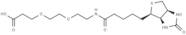 Biotin-PEG2-acid