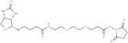 Biotin-PEG2-NHS ester