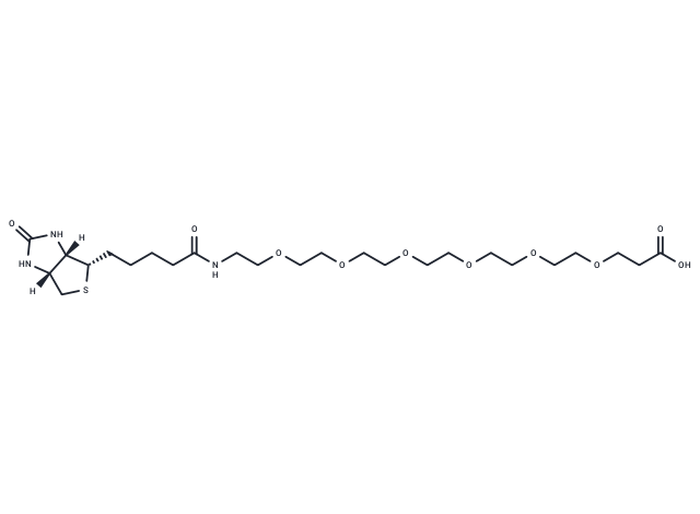 Biotin-PEG6-acid