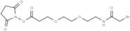 Bromoacetamido-PEG2-C2-NHS ester