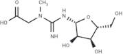 Creatine riboside