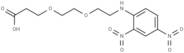 DNP-NH-PEG2-C2-acid
