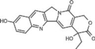 Hydroxy Camptothecine
