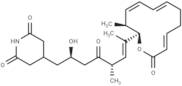 Lactimidomycin