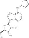 N6-Cyclopentyladenosine