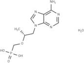 Tenofovir hydrate