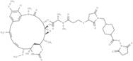 SMCC-DM1