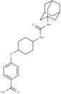 trans-AUCB