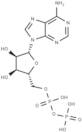 Adenosine 5'-diphosphate