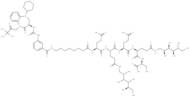 CCK2R Ligand-Linker Conjugates 1