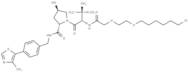 (S,R,S)-AHPC-PEG2-C4-Cl