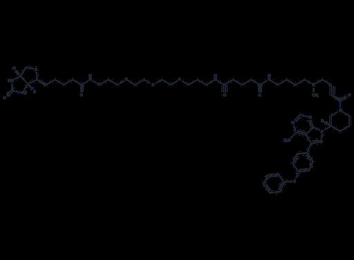 Ibrutinib-biotin