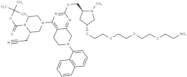 K-Ras ligand-Linker Conjugate 6