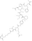 MC-VC(S)-PABQ-Tubulysin M