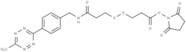 Methyltetrazine-SS-NHS