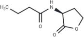 N-Butanoyl-L-homoserine lactone