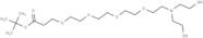 N,N-Diethanol amine-PEG4-Boc