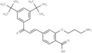 Ch55-O-C3-NH2